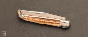 Couteau "    Crosse    " de collection - bois de cerf par Mathieu Herrero