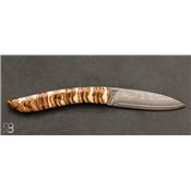 Couteau le Névé - Molaire de mammouth par Tim Bernard