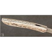 Couteau le Névé - Os de morse fossile et VG10 par Tim Bernard