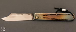 Couteau " Canif Clip Point Color" XC75  de Julien Maria