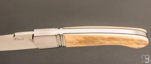     Couteau " Sonix " custom par Frédéric Augé - Mammouth et RWL34