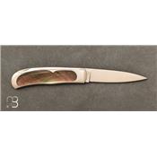 Couteau de poche Wharncliffe en nacre noire par Steve Hoel