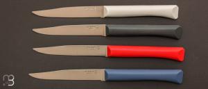 Set of 4 Opinel table knives Bon Appétit + Primo