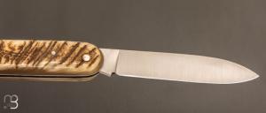 Couteau  " Lock-back " par La Bonne Trempe - Corne de bélier