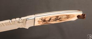   Couteau " Pièce unique " scrimshaw par Francesco Pachi