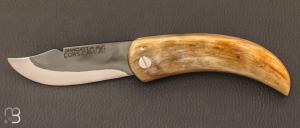  Couteau de poche corse corne de blier par Paul Biancucci