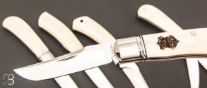   Full set de 6 couteaux custom par Aleksandr Vetrov - Micarta ivory / M390