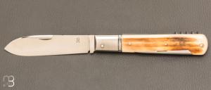     Couteau  "  Pradel 3 pices " par Romain Alvarez - RWL34 et ivoire de mammouth