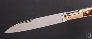    Couteau " Issoire " custom de Jérôme Bellon - Bois de cerf et RWL34