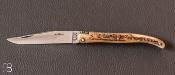 Couteau "Laguiole" 11 cm cerf sambar par David Ponson
