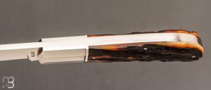    Couteau " Lanny's clip " de Ken Steigerwalt - Amber Stag et RWL34