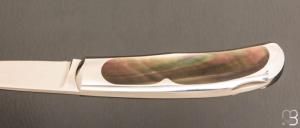    Couteau de collection " Wharncliffe 09 " nacre noire par Steve Hoel