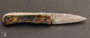  Couteau  "  piémontais custom " de Richard Ciachera - Ivoire de mammouth et damas