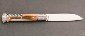      Couteau " Issoire 3 pièces " par David Brenière - Mammouth / damas et RWL34