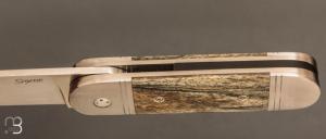  Couteau " Bouledogue " liner-lock de Stéphane Sagric - Os teinté et lame en RWL34