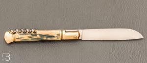   Couteau " Issoire 2 pièces "  de Robert Beillonnet - Ivoire de mammouth et RWL-34