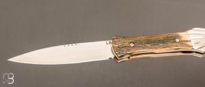   Couteau " L'Oegopsyde " fait main par Laraud Blade  - Ivoire de mammouth et 14C28