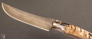  Couteau  "  Sparus  " fixe forgé par Guy Poggetti - Corne de bélier et C105