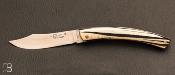 Couteau de poche le Thiers n4 rsine