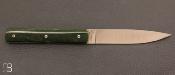 Coffret de 6 couteaux de table 9.47 manches Jade 