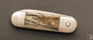  Couteau " Bouledogue " liner-lock de Stéphane Sagric - Os teinté et lame en RWL34