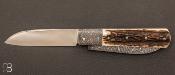 Couteau " Dorme double lames " custom bois de cerf et damas par Anthony Brochier