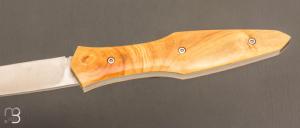  Couteau " Magna Pinna " fait main par Laraud Blade  - Buis et 14C28