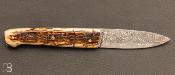 Couteau de poche AG335 de Adrien Giovaninetti - Mammouth et lame damas