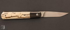   Couteau " liner lock " custom de Stéphane Sagric - Ivoire de Mammouth et Zirconium