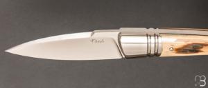     Couteau " Sonix " custom par Frédéric Augé - Mammouth et RWL34