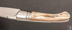     Couteau " Sonix " custom par Frédéric Augé - Mammouth et RWL34