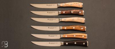 Set de 6 couteaux à steack Ikon de Wusthof -  réf. : TR1060560601