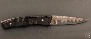   Couteau " Pièce unique " par Alain & Joris Chomilier - Damas carbone de Baker Forge et Corne de Gnou