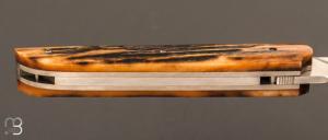 Couteau " light " pliant liner-lock par Thierry Chevron - Amber stag et RWL-34
