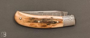    Couteau " Tocard " custom de Jérôme Bellon - Ivoire de mammouth et lame damas