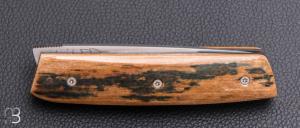    Couteau " liner-lock " custom par Christophe Arbogast - Ivoire de mammouth et lame en RWL34