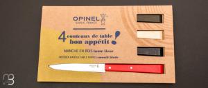 Coffret 4 couteaux de table Esprit Loft