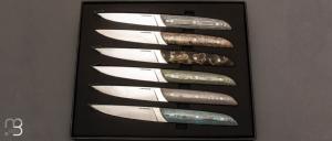 Coffret de 6 couteaux de table Carbone & Co par LEPAGE - Fatcarbon® et 12C27