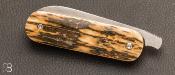 Couteau " Bouledogue " piémontais ivoire de mammouth de Richard Ciachera