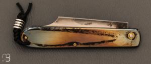 Couteau " Canif Clip Point Coloré" XC75  de Julien Maria