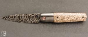    Couteau  " Liner-Lock custom  " par Florian Dreyer FD-Knives - Os de dinosaure et damas