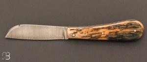 Couteau régional "London" en ivoire de mammouth et lame damas par Passion France
