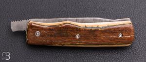    Couteau de poche Piémontais de Richard Ciachera - Ivoire de mammouth et damas