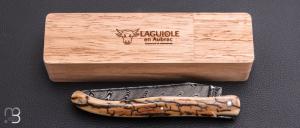    Couteau Laguiole en Aubrac 12 cm manche en ivoire de mammouth et damas de Markus Balbach
