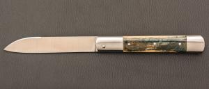    Couteau  "  Issoire  " par Maxime Surjous  - Ivoire de mammouth et lame en RWL34