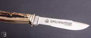    Couteau PUMA Kleiner Jagdnicker - 3587 - Année 1985