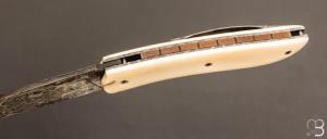 Couteau "  Gyr  " front flipper custom - Ivoire de Phacochère et damas par Tim Bernard